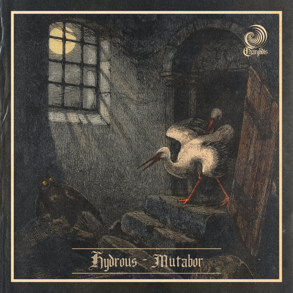 Hydrous - Cascade