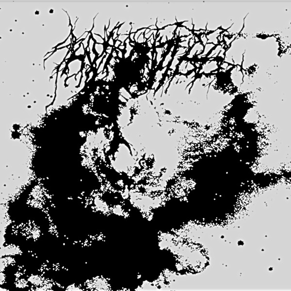 Hynnvigg - Decomposizione Fungina