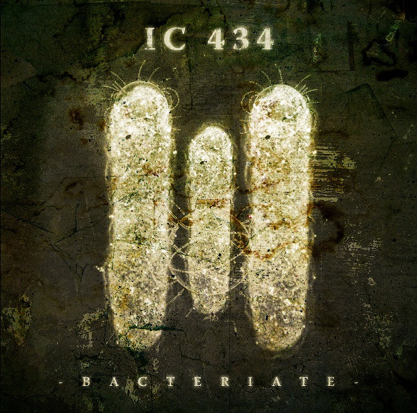IC 434 - Bacteriate