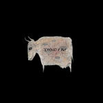 IWKC - We had only one day