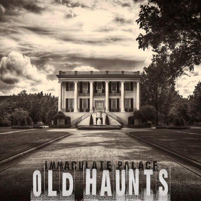 Immaculate Palace - Spider Hunt