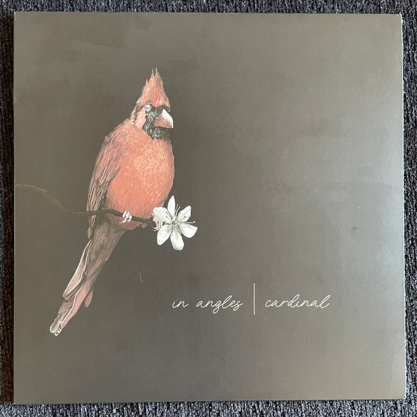 In Angles - Magnolia