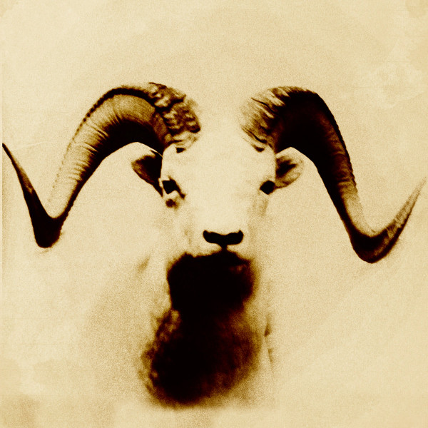 In Serpents And Seas - The Black Shuck (Waits and Wails in the Distance)