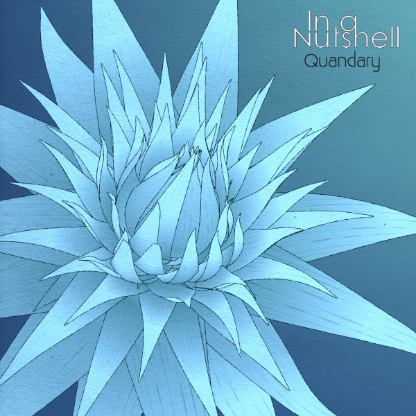 In a Nutshell - lungs