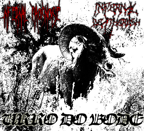 Infernal Caosnoise - Furia Suina