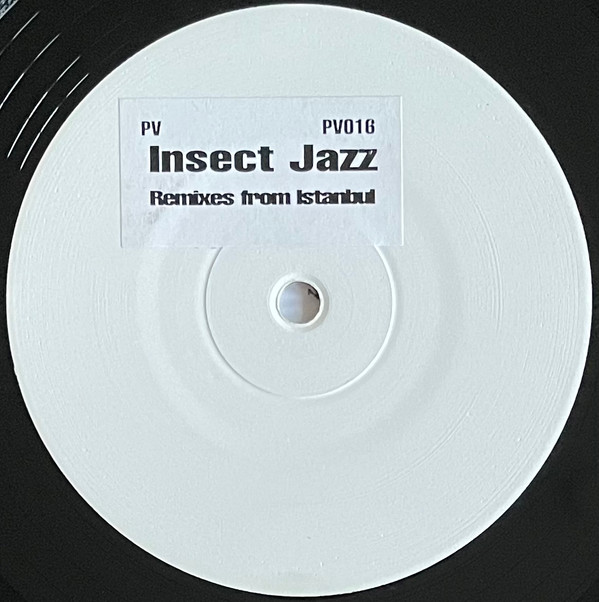 Insect Jazz - Insect Electro