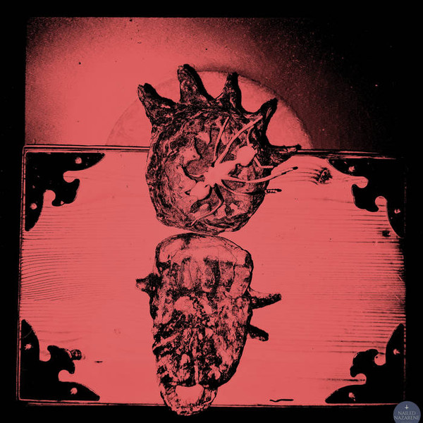 Insectghost - The Flyskull