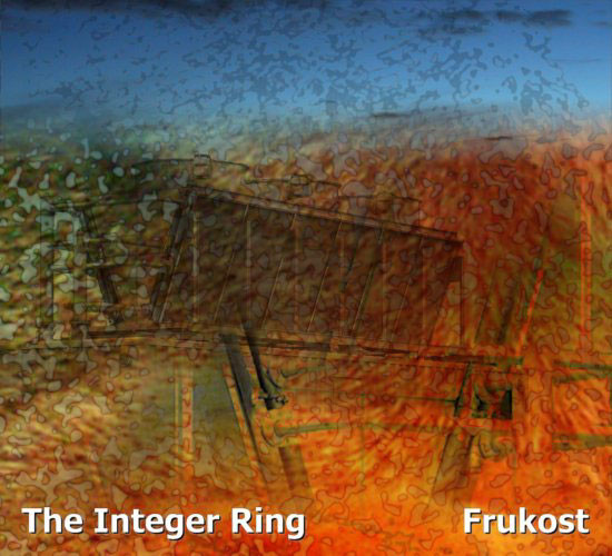 Integer Ring - Litchi