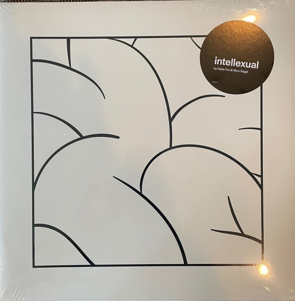 Intellexual - Intlxl