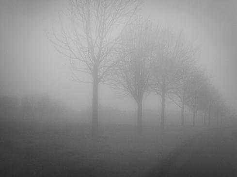 Interior Soundscapes - Whatever, Then