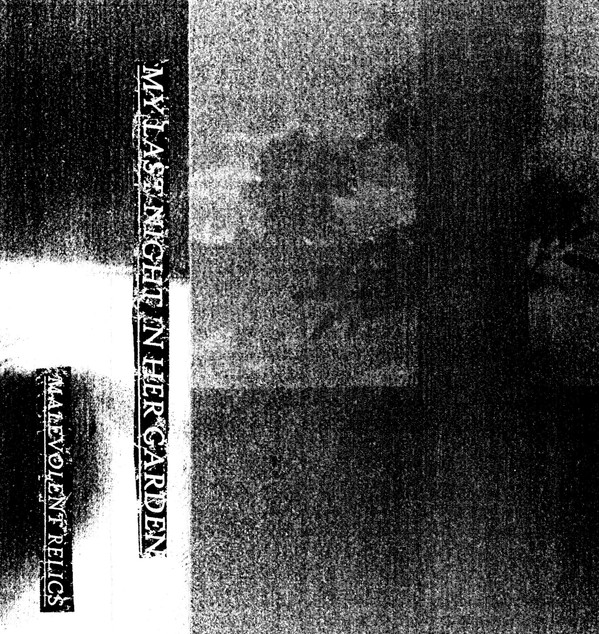 Into Hiding - My Last Night In Her Garden