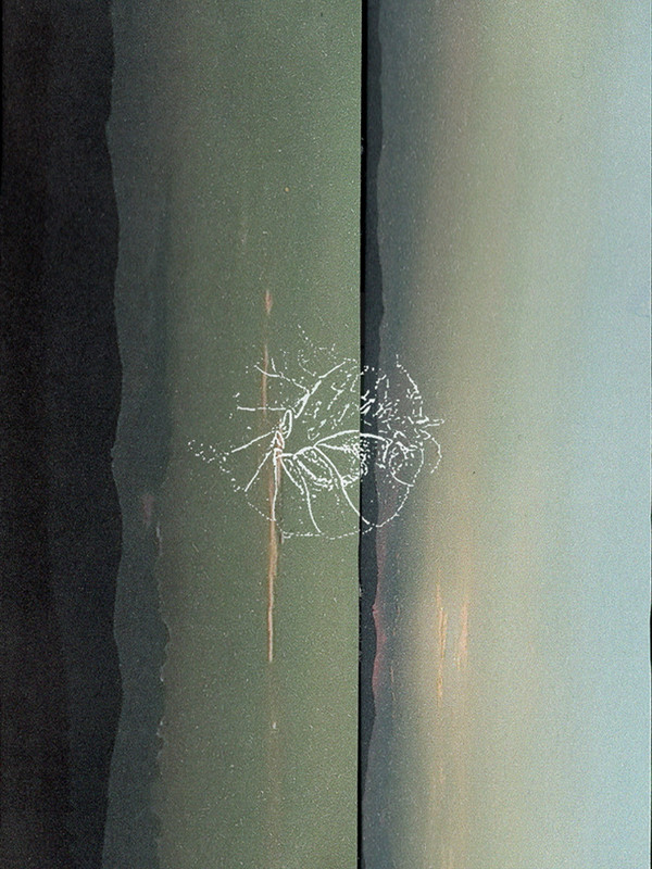 Iqixive - Douce Mélodie