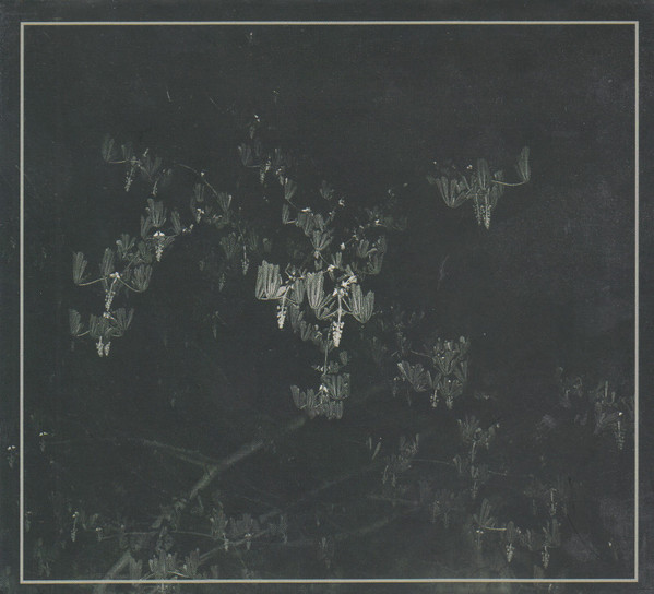 Islands Of Light - Goerde
