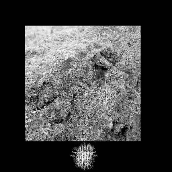 Istochie - Her Rubber Smile