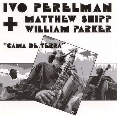 Ivo Perelman, Matthew Shipp, William Parker - De Gustibus Non Est Disputandum