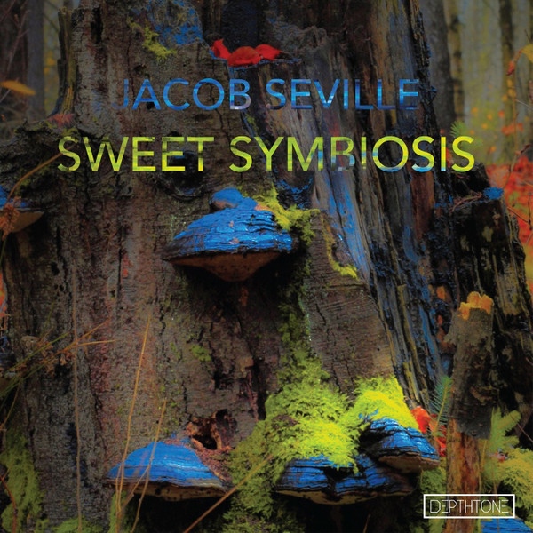 Jacob Seville - Groovin