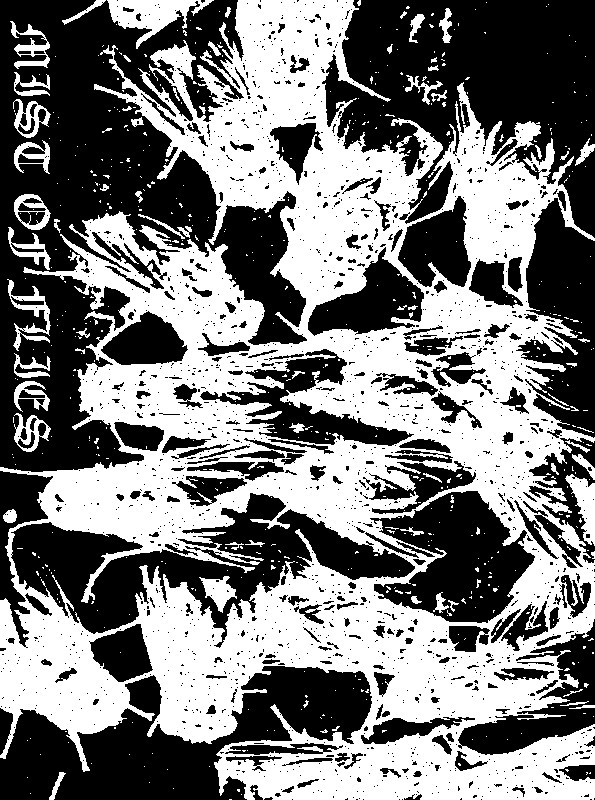 Janomseng - Larvae