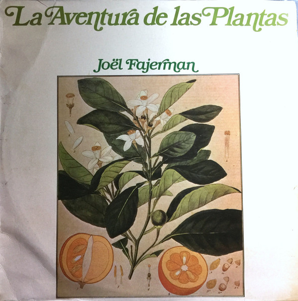 Joël Fajerman - Flower's love
