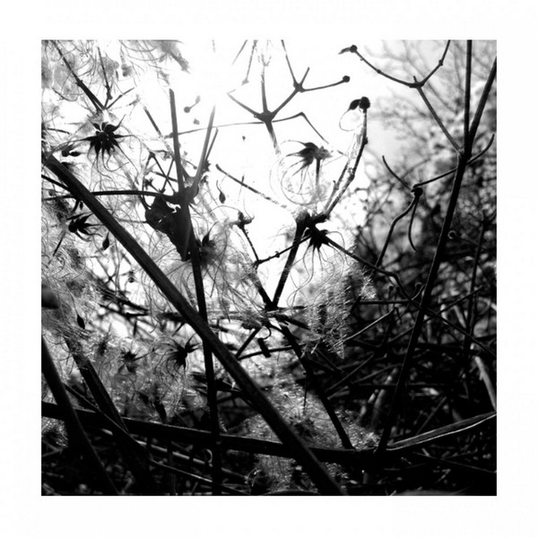 Joachim Spieth - You Don't Fool Me