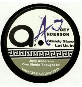 Joey Anderson - Earth Calls