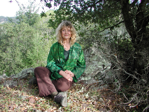 Judith Tripp - The Cave and the Sea