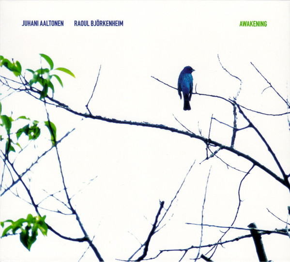 Juhani Aaltonen & Raoul Björkenheim - Reflections