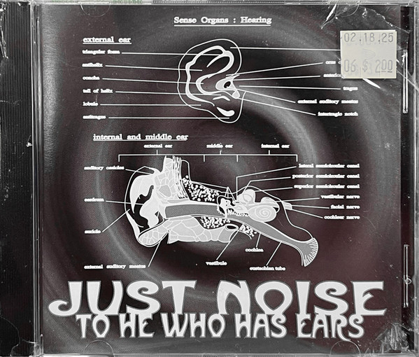 Just Noise - Lucidity