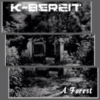 K-Bereit - If only