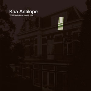 Kaa Antilope - Arabesques