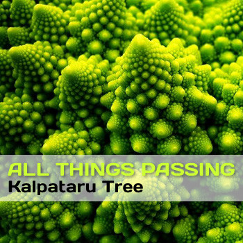 Kalpataru Tree - MettaLullaby