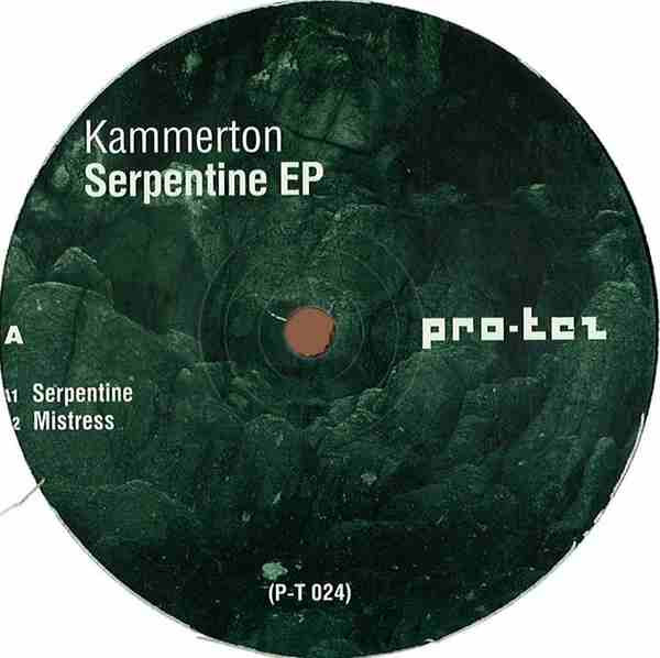 Kammerton - Fascinating Cyberstewardess with Her Inward Search