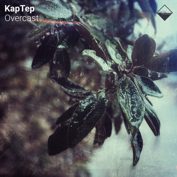 Kaptep - A Pattern to My Scars - Fumana Remix