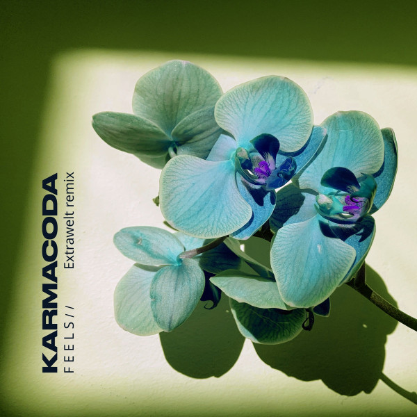 Karmacoda - Awaken