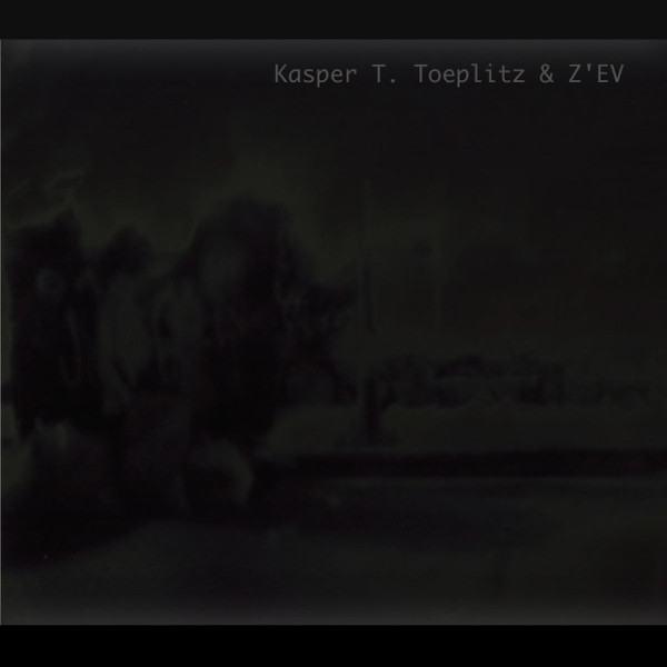 Kasper T. Toeplitz & z'ev - Fleur_de_peau