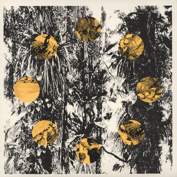 Katsunori Sawa - Camellia Blossom
