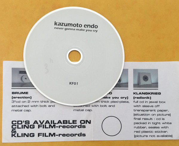Kazumoto Endo - While You Were Out