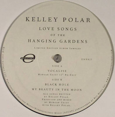 Kelley Polar - Entropy Reigns (in the Celestial City)