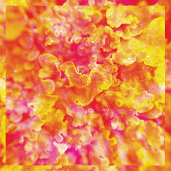 Kinkajous - Black Idiom, Pt. 1