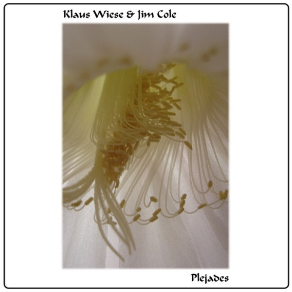 Klaus Wiese & Jim Cole - Plejades I