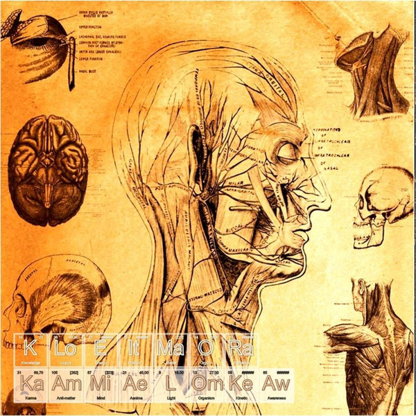 Kleimor - First Satori