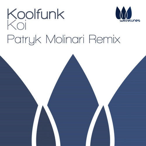 Koolfunk - We Are The 99% (Original Mix)