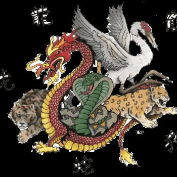 Kung Fu Junkie - Chinese Girl