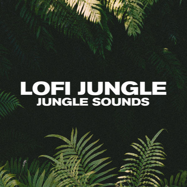 LOFI JUNGLE - sadboys
