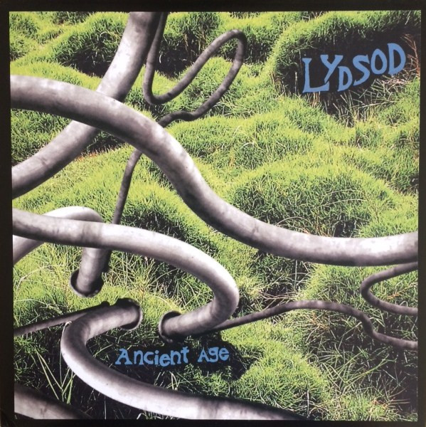 LYDSOD - 1 Brain Cell 2 Go