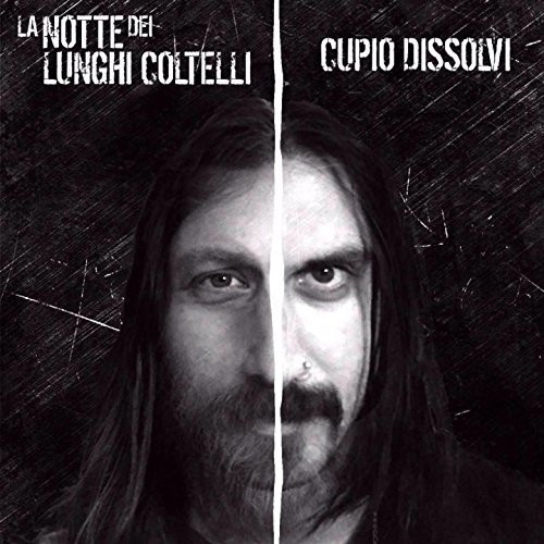 La Notte Dei Lunghi Coltelli - La caduta