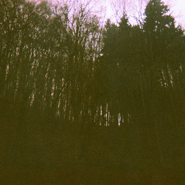 Land Systems - Sequoia Slumber
