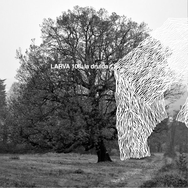 Larva 108 - snowstorm and the number 8