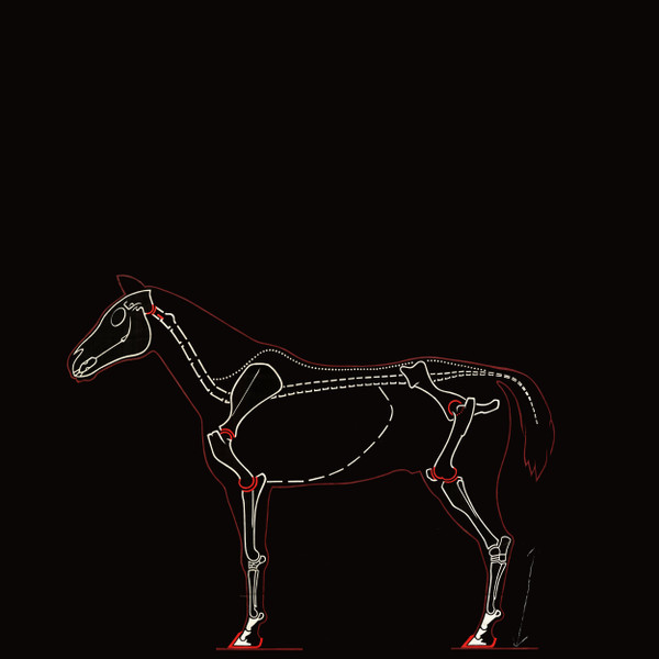 Laser Horse - tsaaa wendhu 2