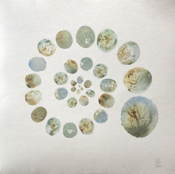 Laura Misch - Glass Shards