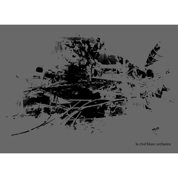 Le Chat Blanc Orchestra - Julia In The Palm Room